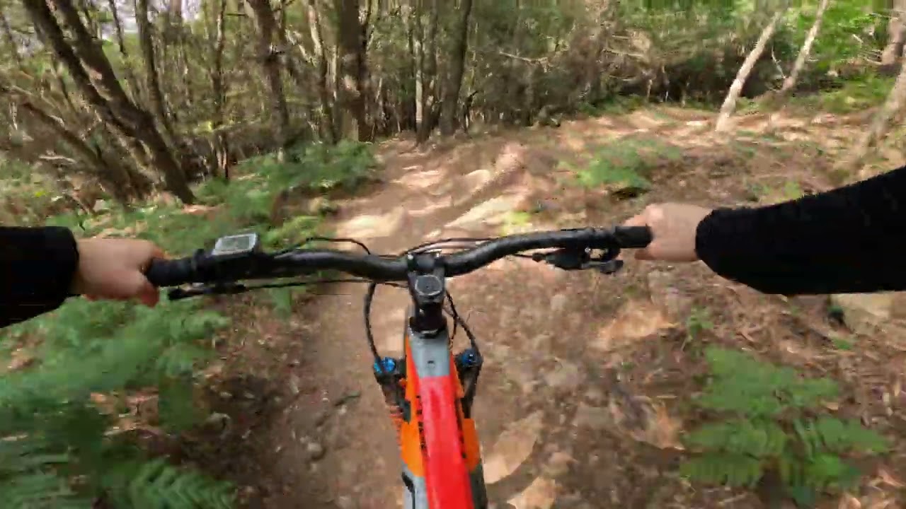Trilho do monge + trilho do Avó - Sintra MTB (Depois da Desflorestação)
