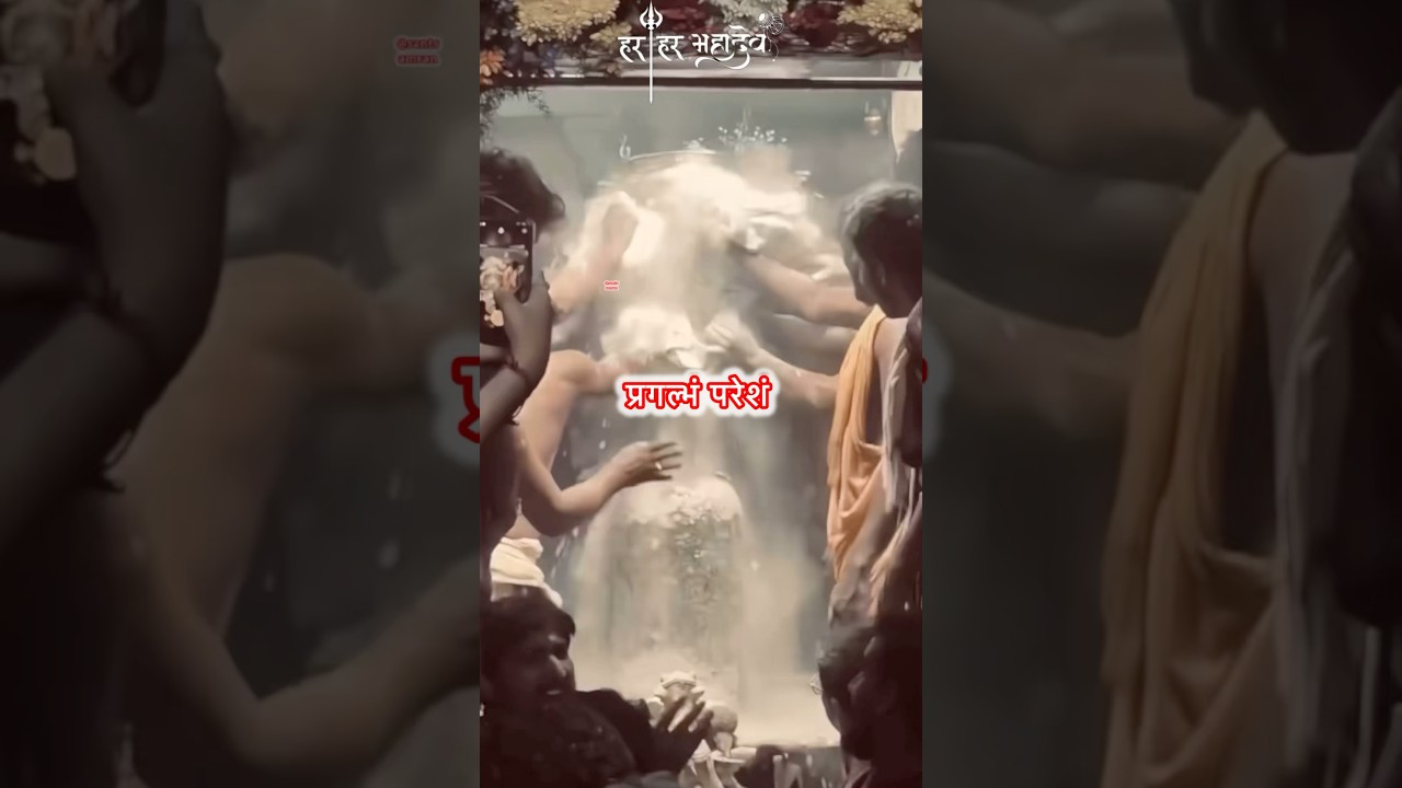 pracandam prakrstam pragalbham paresham #santsamran #shortsfeed #rudrastakam #livedevotionalsong #yt