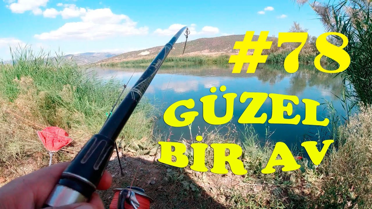 Güzel Bir BALIK AVI Daha.SAZAN AVI.DİP OLTASI ile.Catch Fish.Carp Fishing.with hook.River.rigs #78