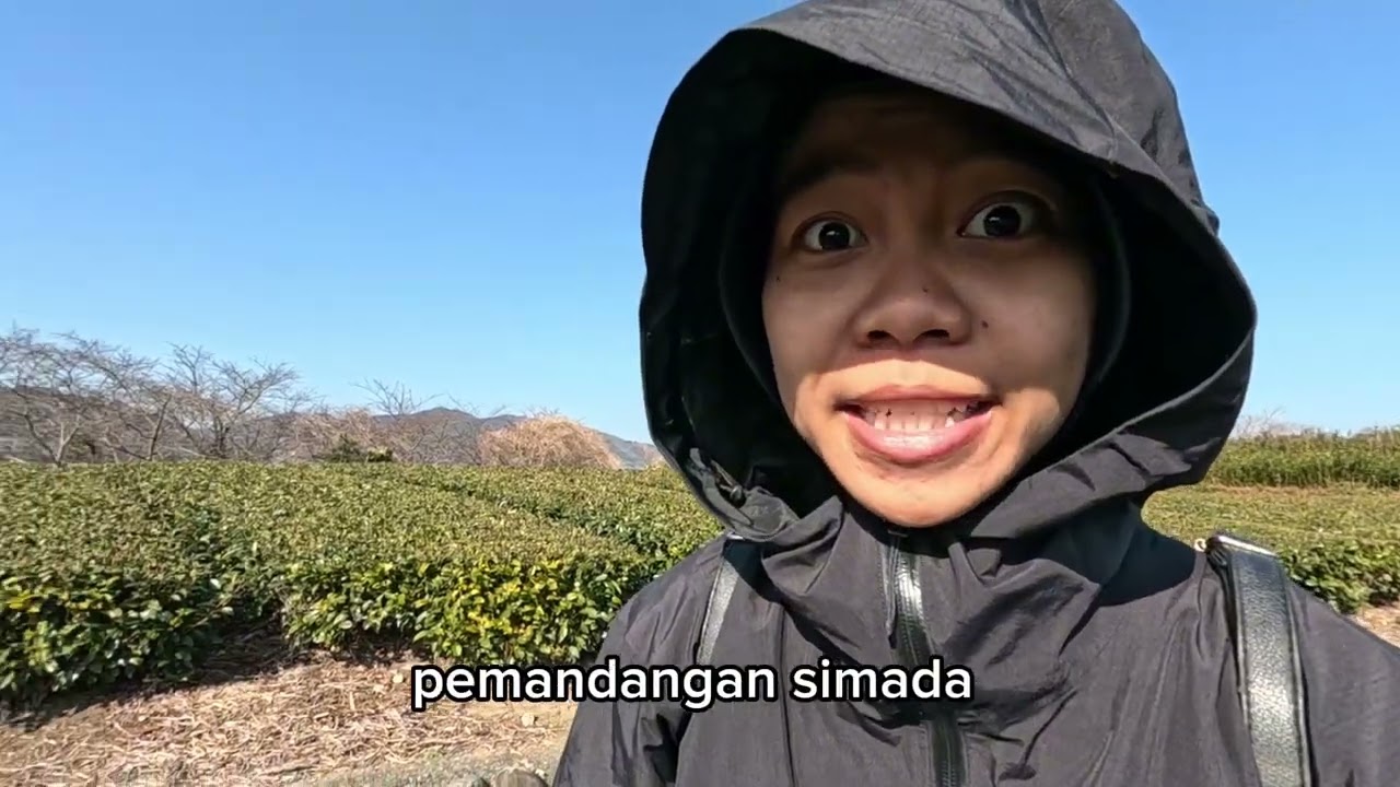 Jalan jalan ke Gunung 30 anak tangga MDPL di Shizuoka