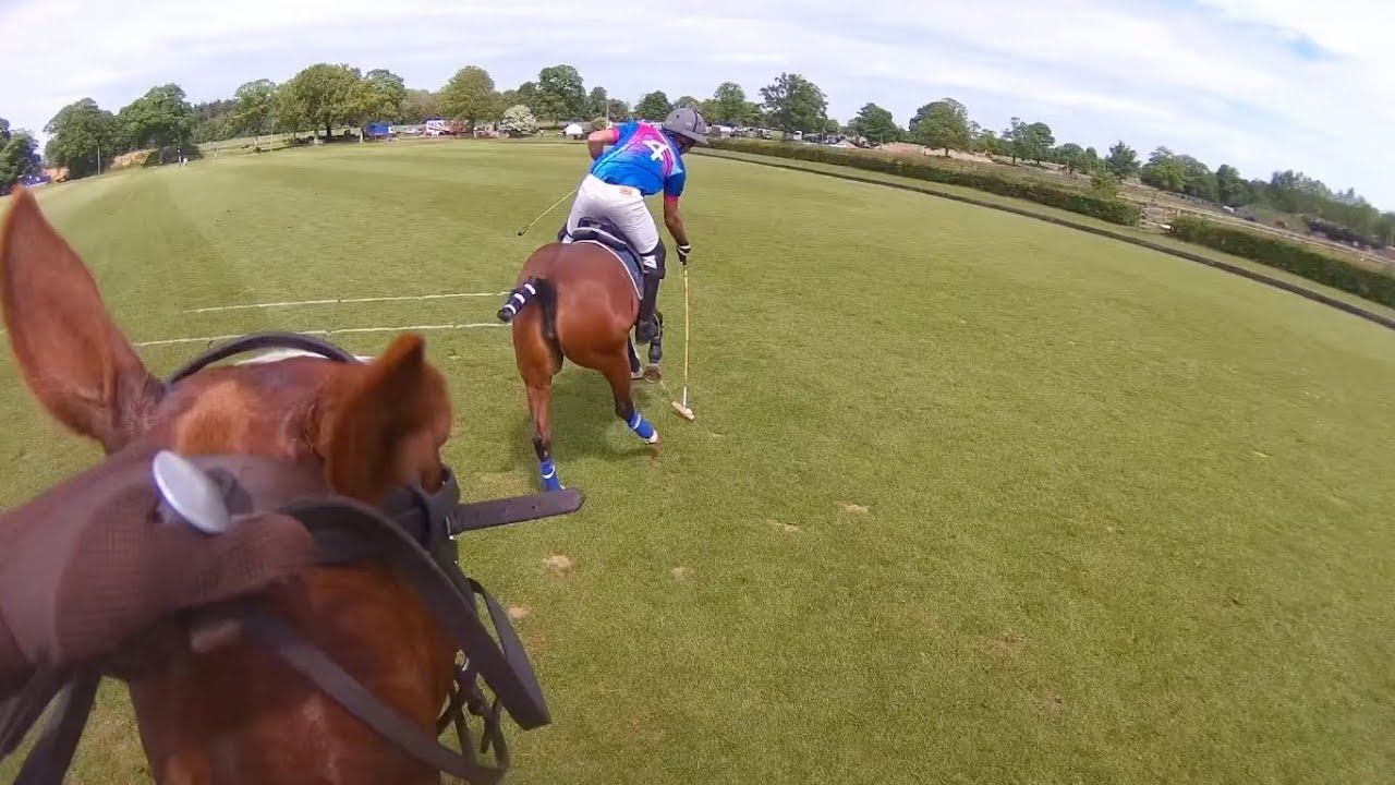 Fast, Open, Tough Polo - Polo Ponies Fight for the Win | Equestrian