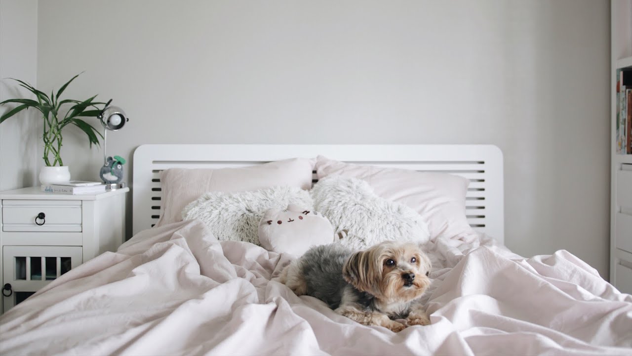 document your life: november #3 &bull; melina souza