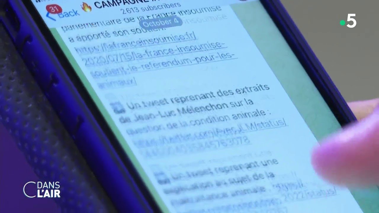 Présidentielle : les réseaux sociaux, terrain de jeu des militants - Reportage #cdanslair 25.10.2021