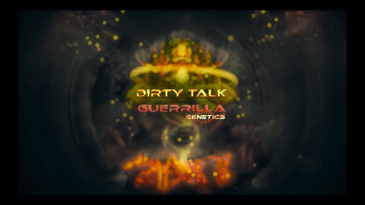 Guerrilla - Dirty Talk
