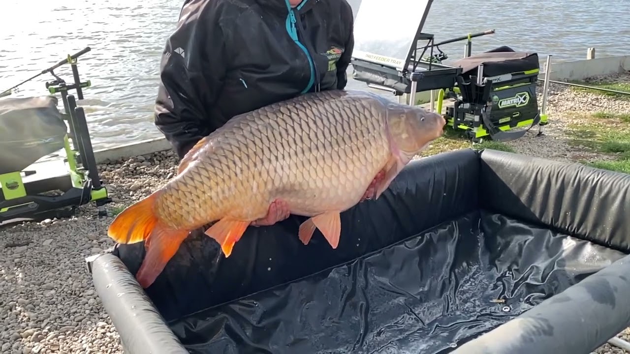 Senzational, record la feeder cu nada Led MG Carp‼️