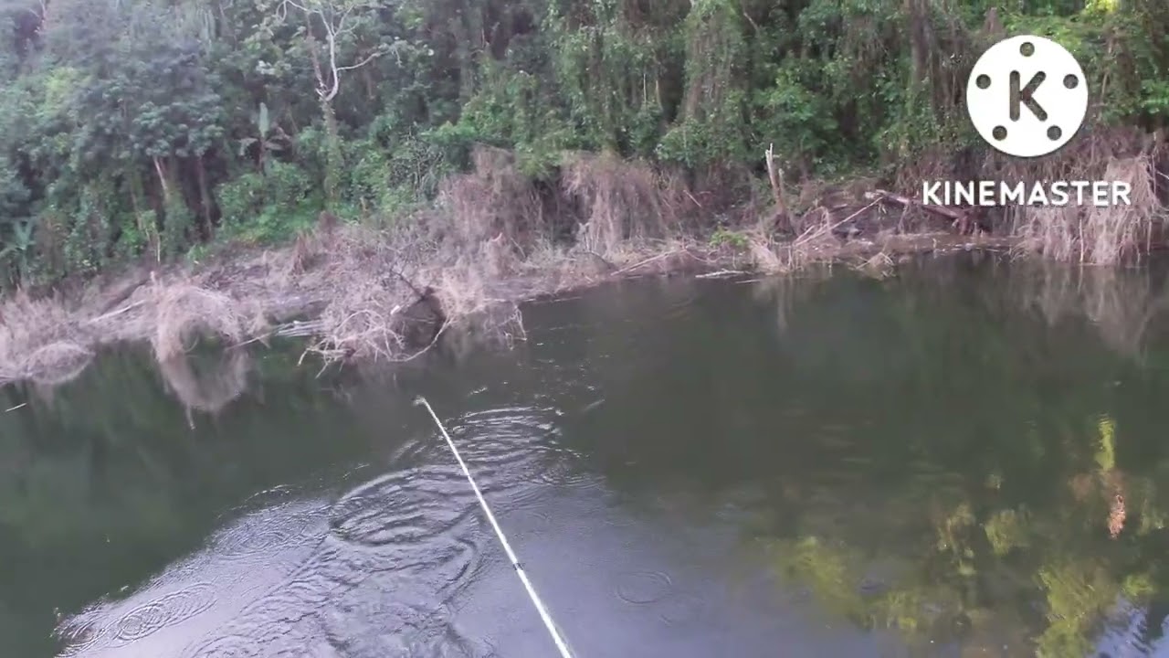 Bass fishing in Cerrillos Ponce P.R.