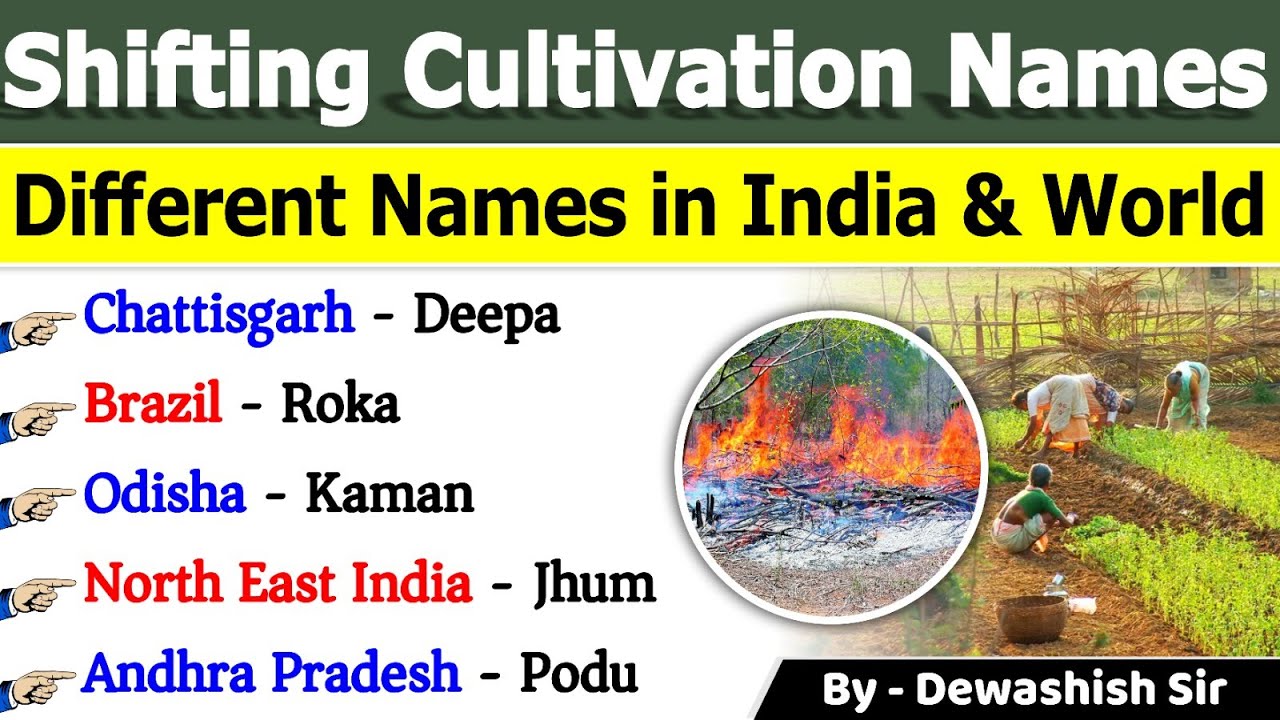 Shifting Cultivation | Different Names of Shifting Agriculture in India & World #agriculture
