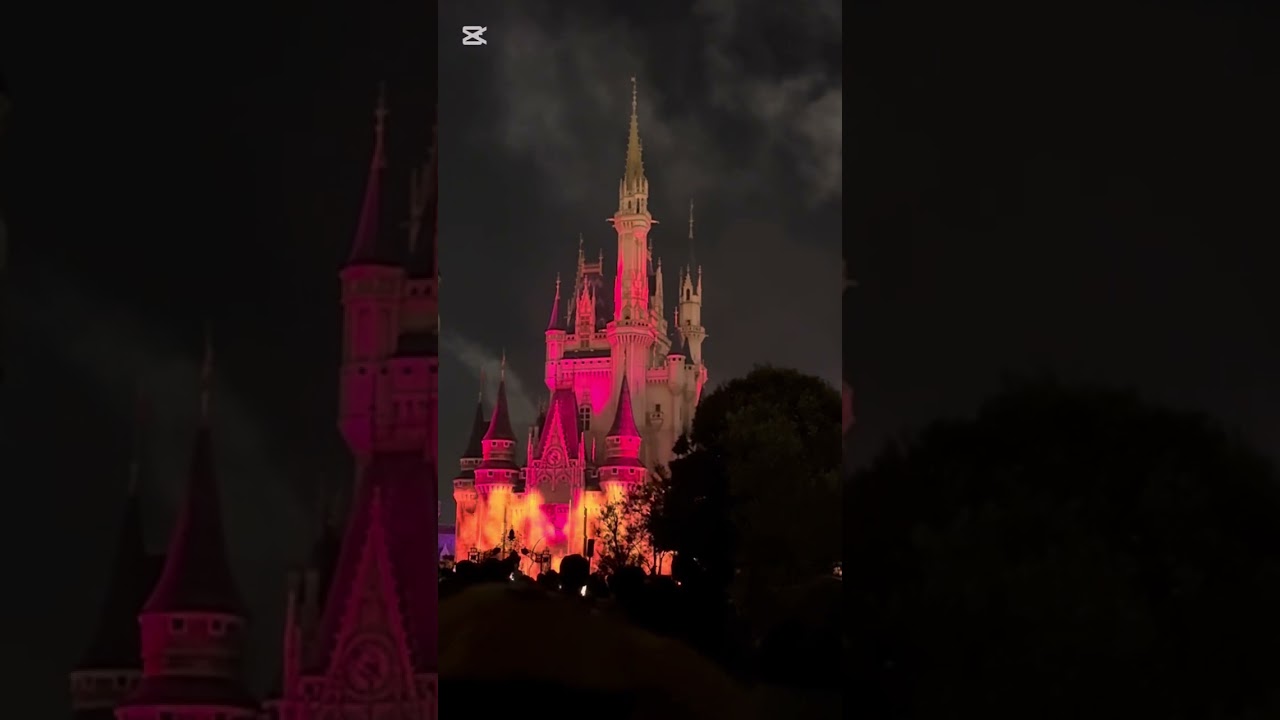 Reach For the Star Show #disneyland  #disneylandjapan 