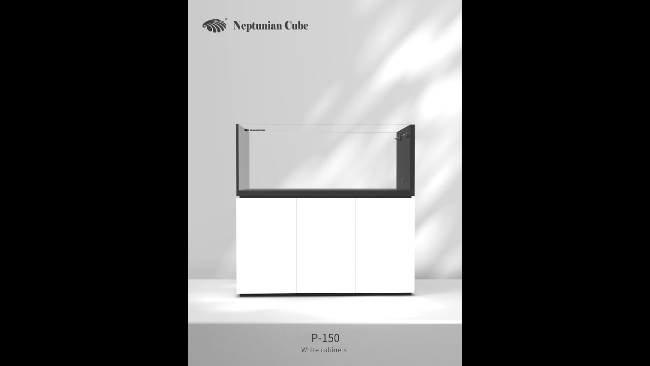 Neptunian Cube P-150 Aquarium Installation Video