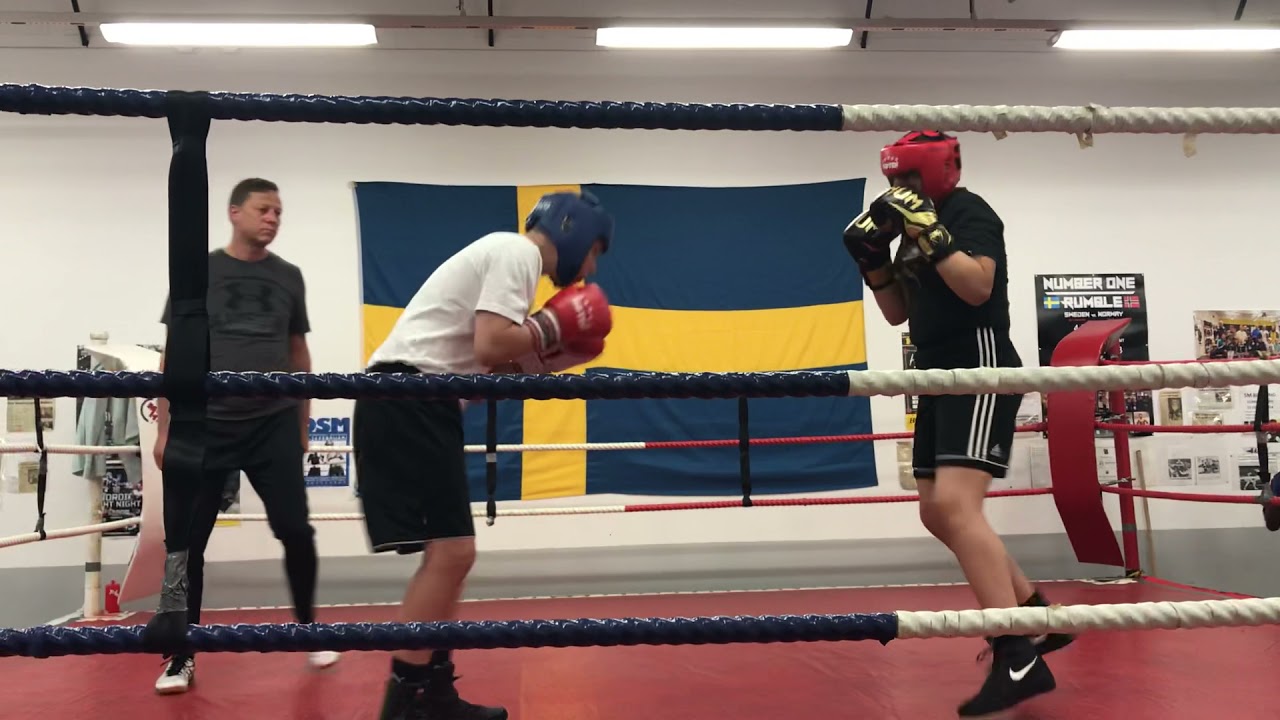 Hugo sparring del 1 Hallstahammar