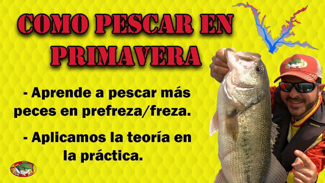 Aprende a PESCAR MÁS peces en PRIMAVERA - Pescando en Prefreza/Freza del BLACK BASS