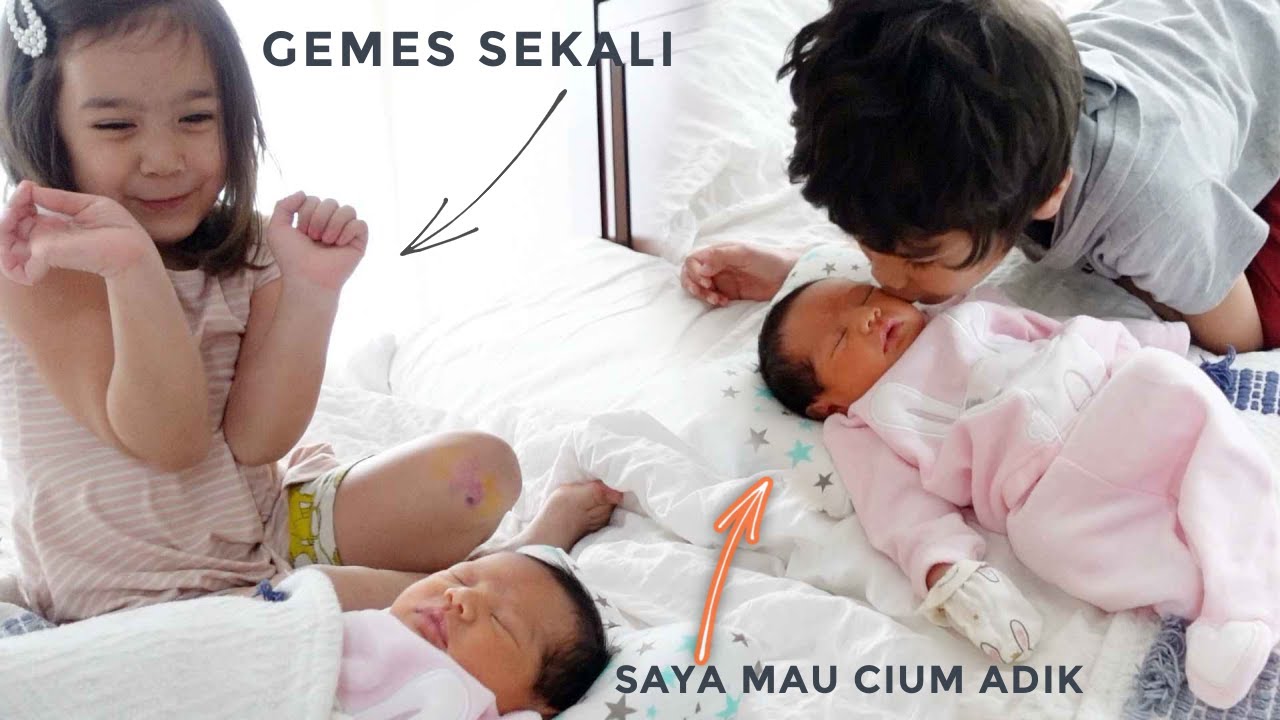 Reaksi Kakak ketemu Adik + Boss suami Masak & Bawa Makanan buat kita
