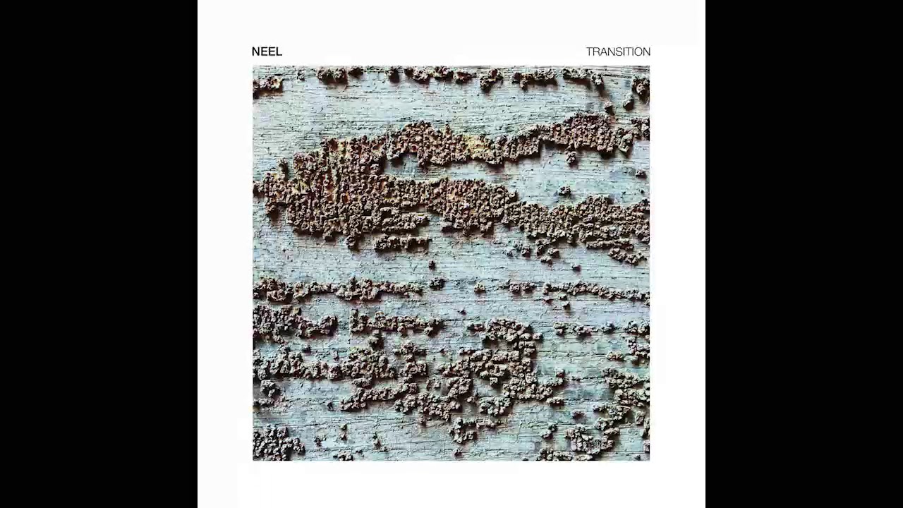 Neel - Vanadio [TOKEN86]