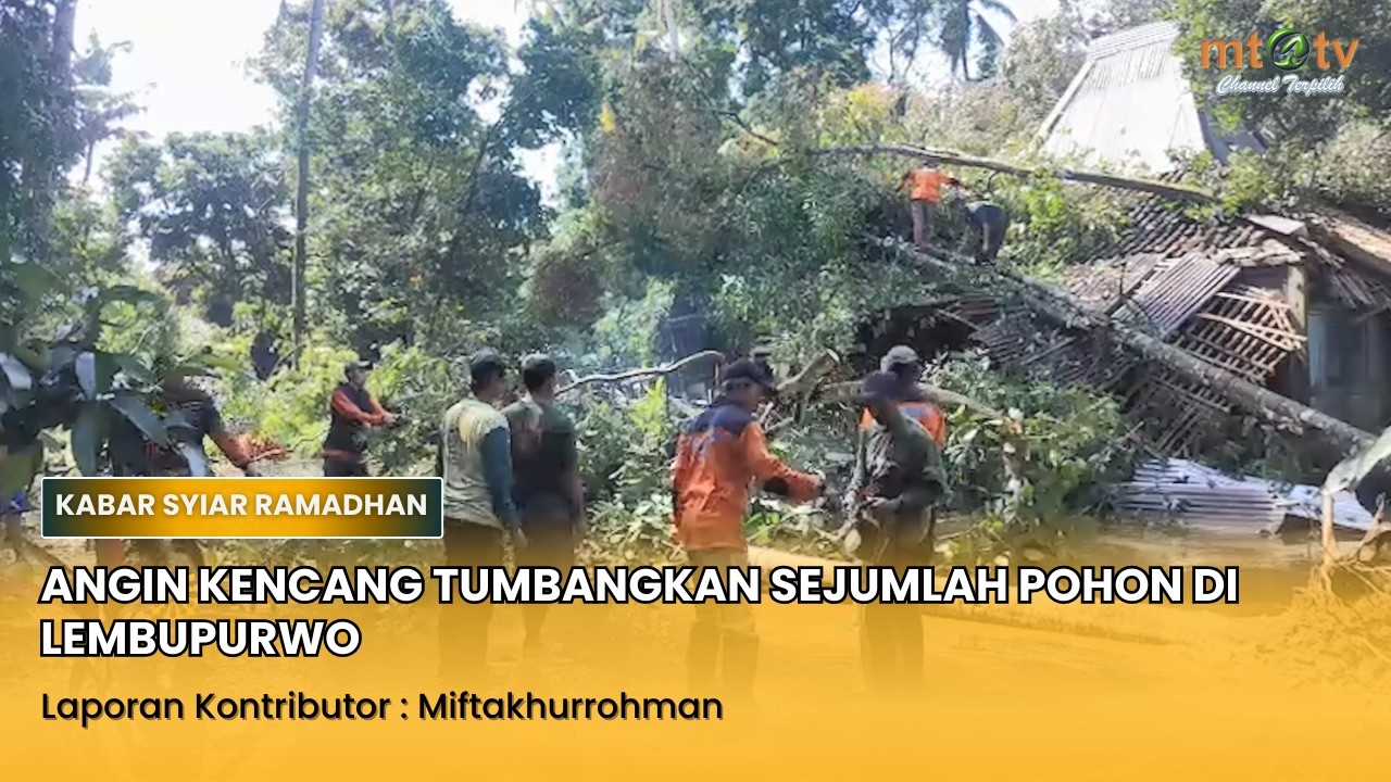 ANGIN KENCANG TUMBANGKAN SEJUMLAH POHON DI LEMBUPURWO