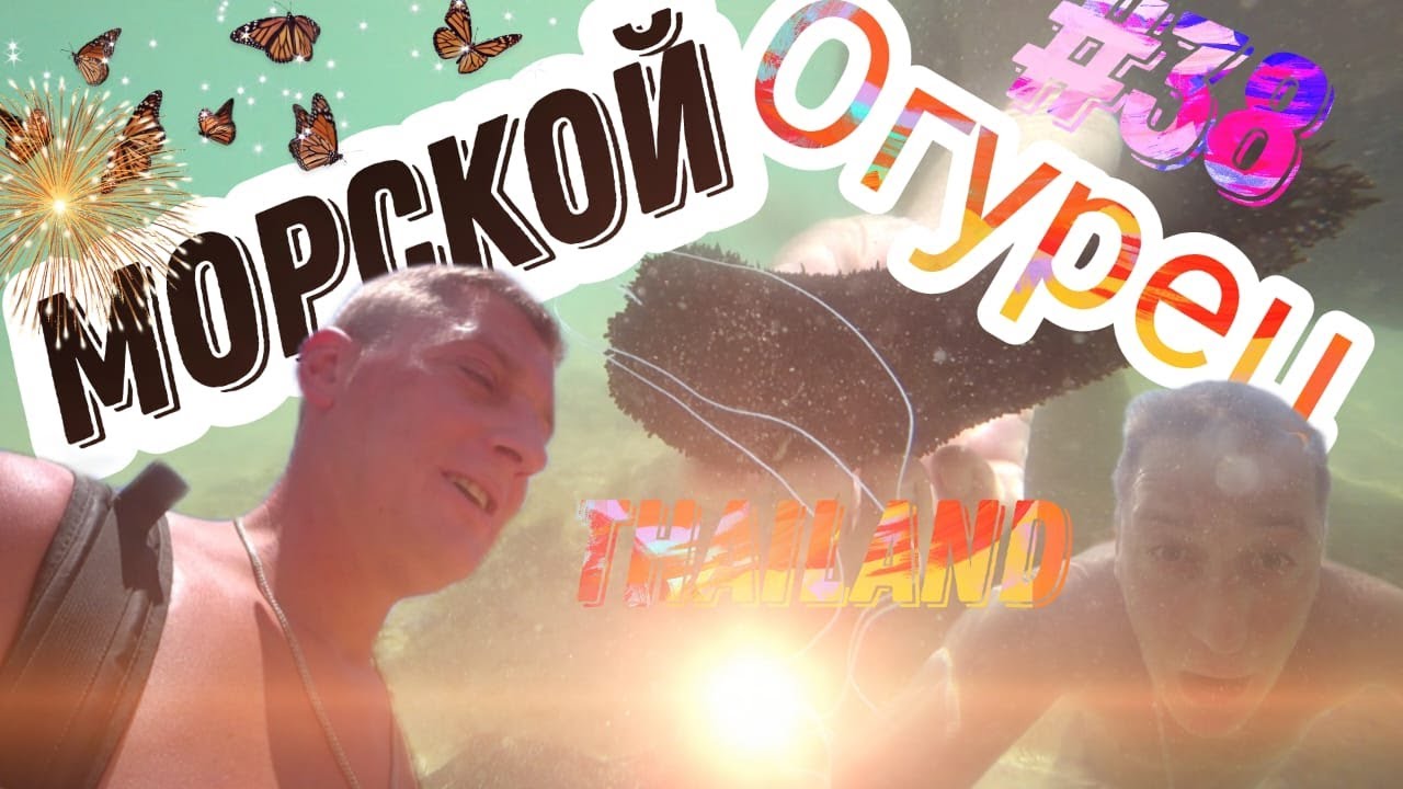 Mu Ko Lanta National Park Куда лучше не ходить!!! Пот из ушей и Морские писюны))) Thailand #38