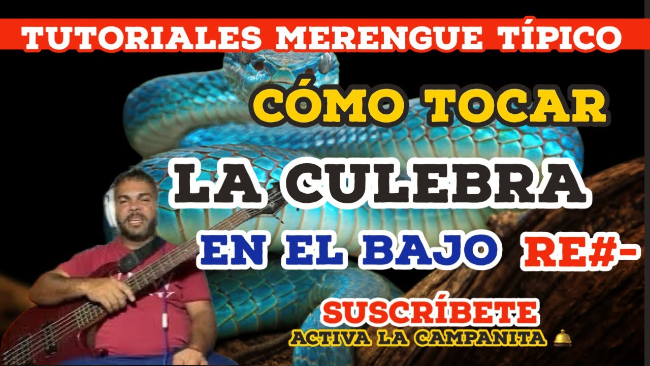 LA CULEBRA como tocar en el BAJO #tutorialesmerenguetipico #tmtbajo