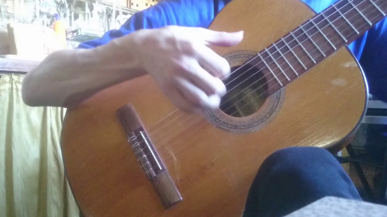 Musima Resonata