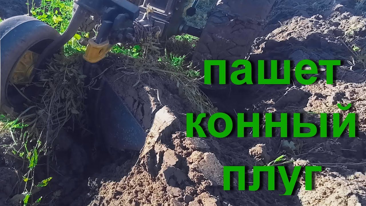 ПАШЕТ КОННЫЙ ПЛУГ ИЛИ СТАРЫЙ ПЛУГ ,БОРОЗДЫ НЕ ПОРТИТ.