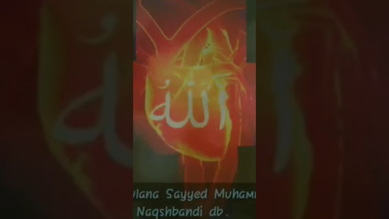 Muraqaba (zikre qalbi) #naqshbandi #muraqabah #peerzulfiqarahmadnaqshbandi #viral