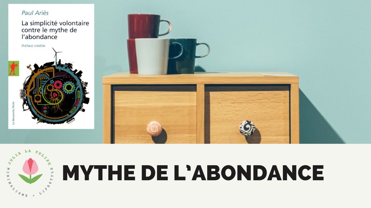 8 raisons d'adopter la simplicit&eacute; volontaire contre le mythe de l'abondance - Suggestion de lecture