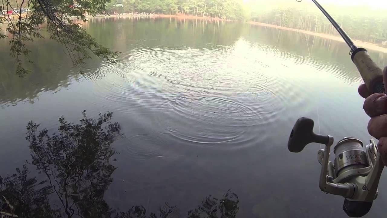 How to catch trout