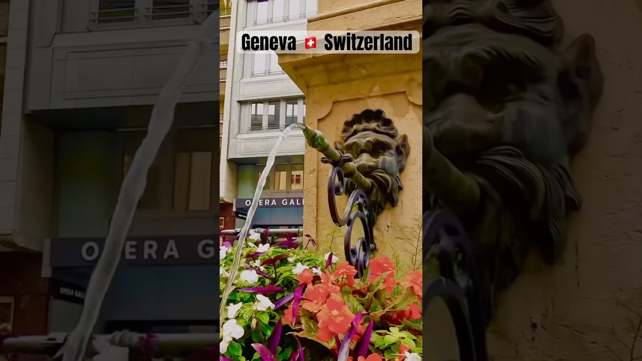 Genewa #Szwajcaria #szwajcarski #podr&oacute;że #4k #rolki #kr&oacute;tkie filmy #szwajcarski #europa #gotravel...