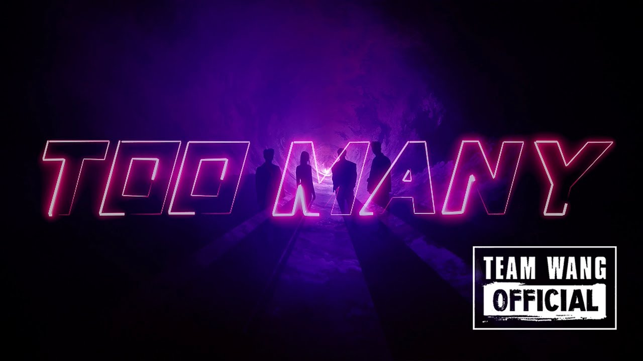PANTHEPACK - Too Many (Official Visualizer)