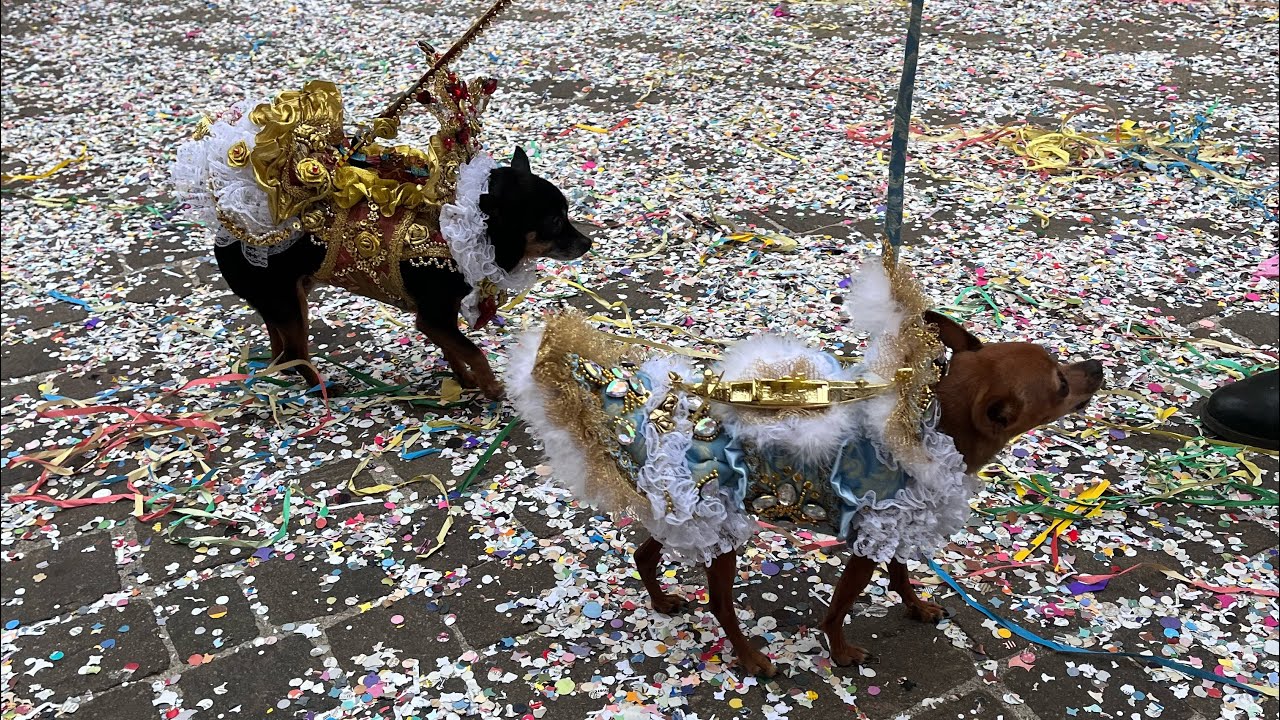 Carnevale di Thiene 2023