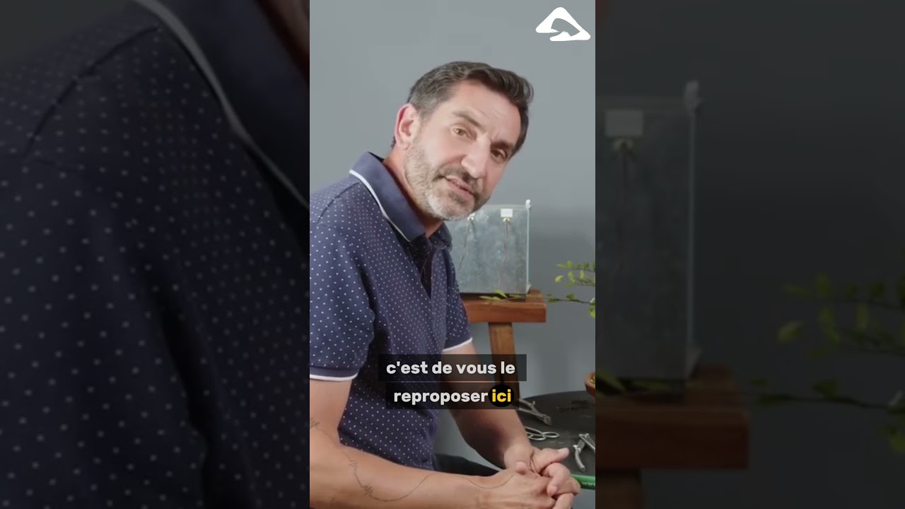 Définir un projet bonsaï sur plusieurs années