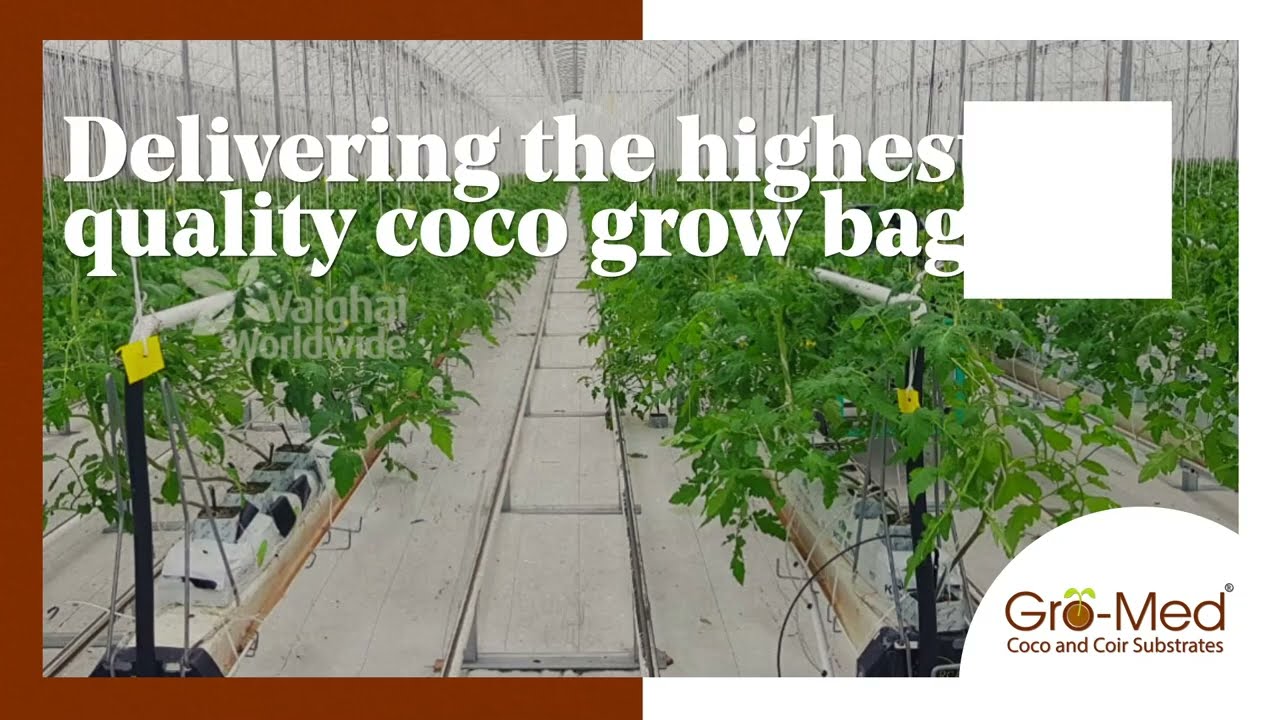 Fine quality coco grow bags