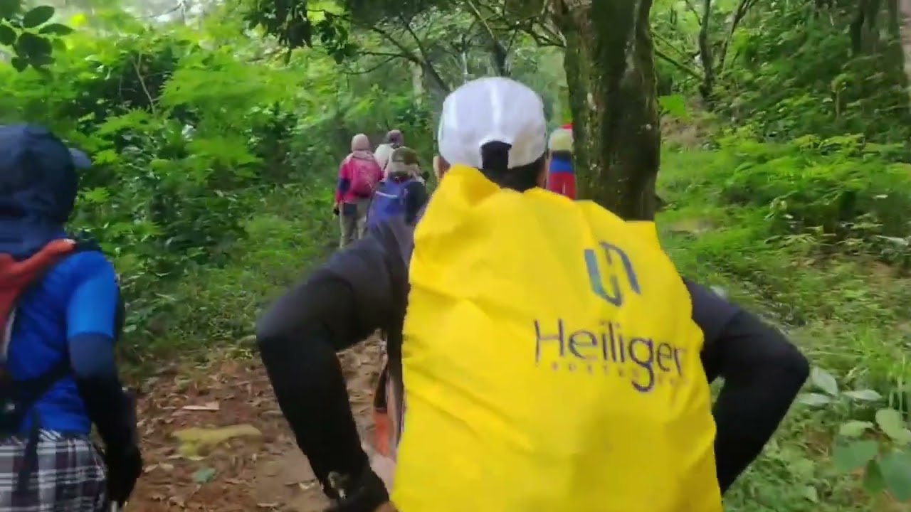 GUNUNG PAMOYANAN    |  SENSASI MENIKMATI SEGARNYA LAHANG DI TENGAH HUTAN 