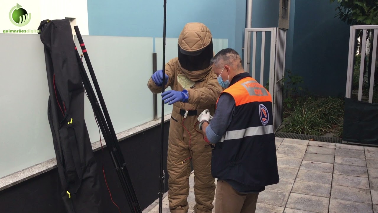 Serviços municipais usam nova técnica para eliminar vespas asiáticas