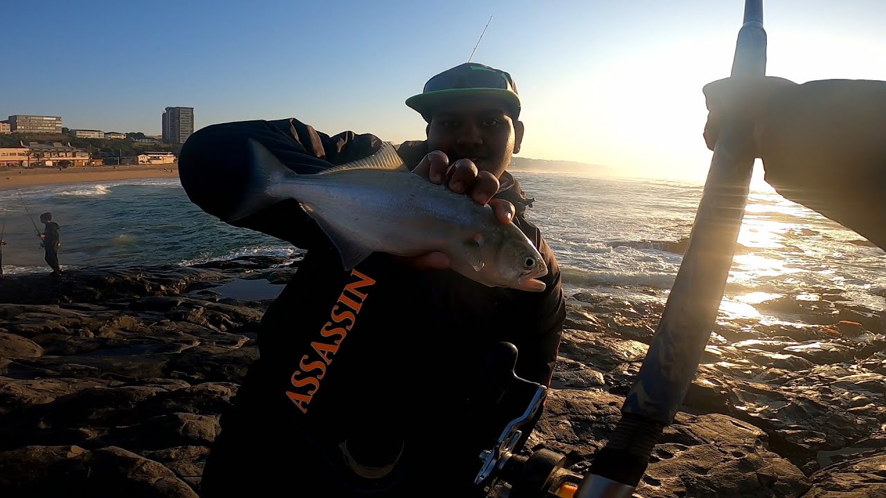 Fun Fishing Frenzy - SHAD/ELF Fishing at Toti Beach over a few days