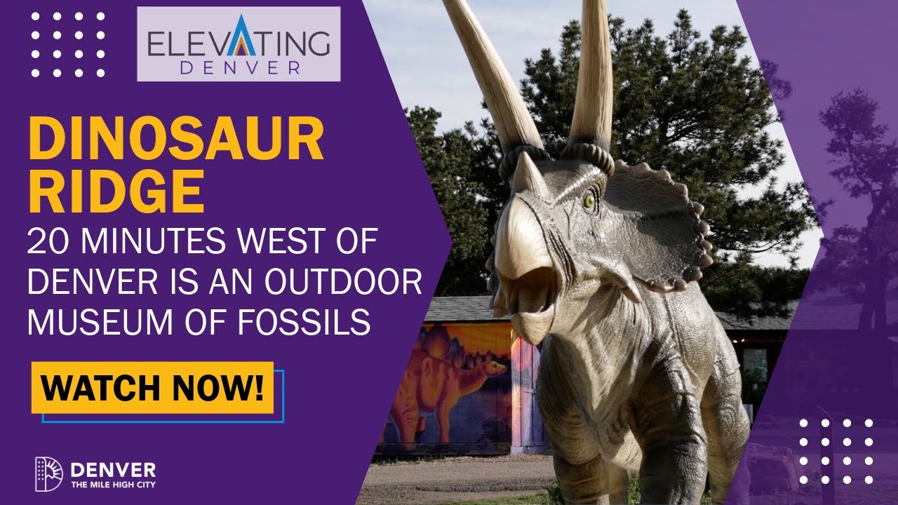 Dinosaur Ridge - Elevating Denver