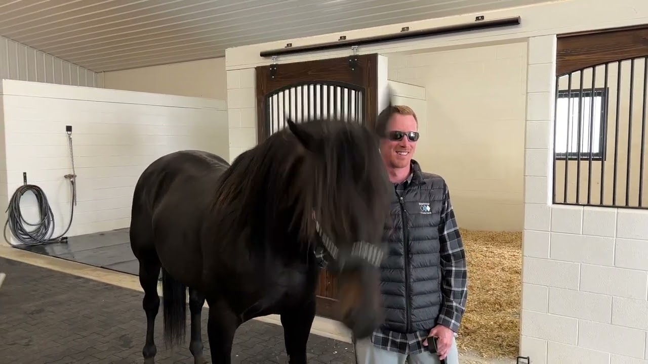 2022 USTrotting -- Down the Stretch --  Diamond Creek Farms -- Adam Bowden