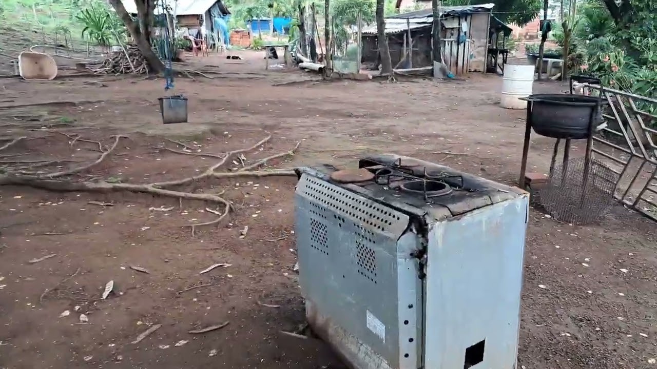 Vamos plantar meu povo 