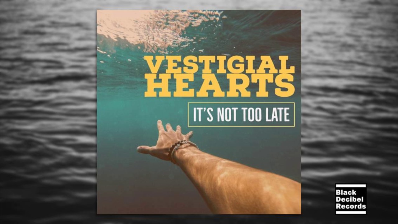 Vestigial Hearts - It's Not Too Late