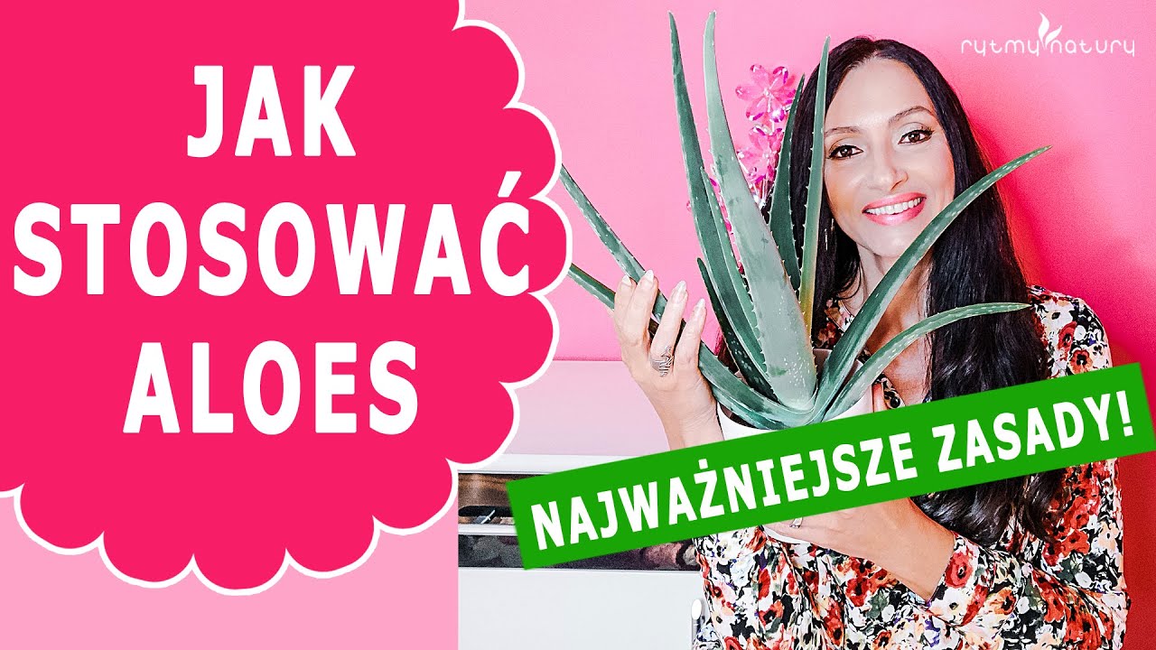 Jak stosować ALOE VERA /aloes zwyczajny/ upiększająco i leczniczo. Poznaj najważniejsze zasady!