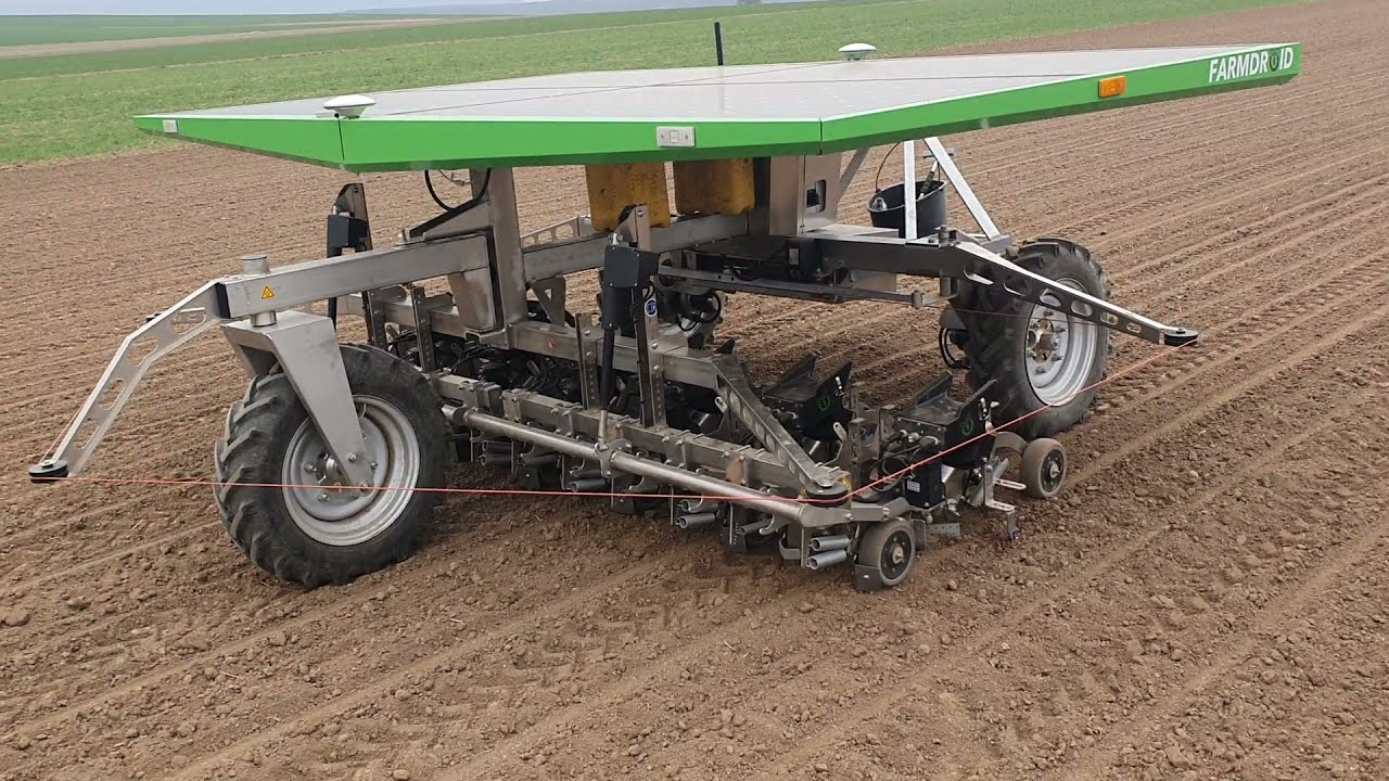 Farmdroid FD20 - Blindhacken von Bio-Zuckerr&uuml;ben