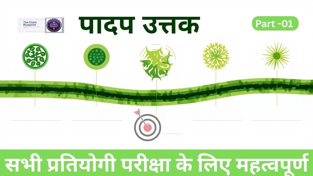 उत्तक | Tissue | पादप उत्तक | Plant Tissue in Hindi | Biology by The Exam Blueprint