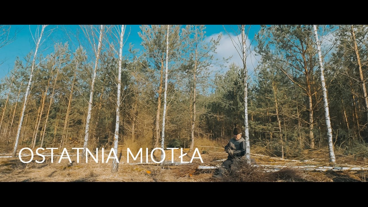 Ostatnia miotła  - Jan Bienias.