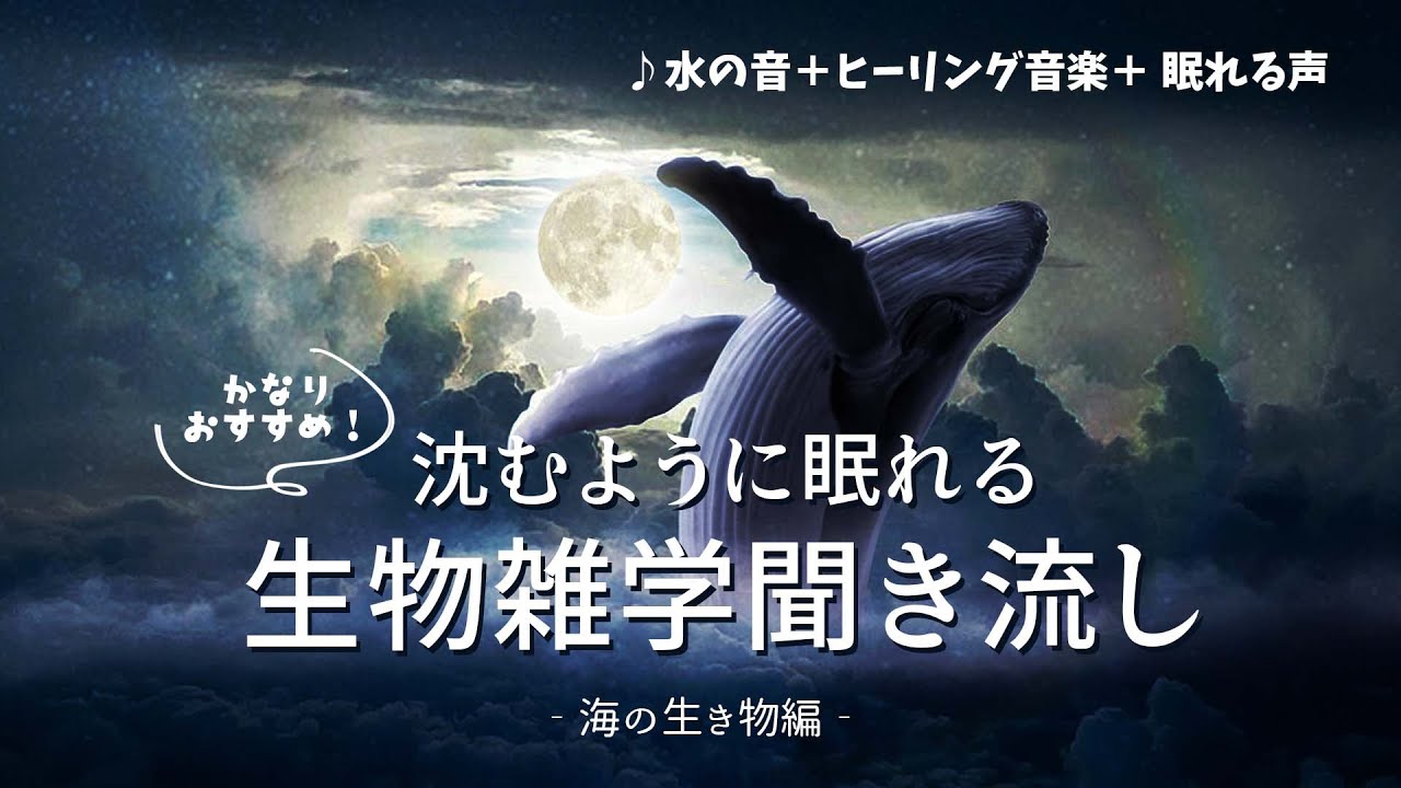【 水の音＋音楽＋声 】最強に眠れる雑学聞き流し - 海の生き物 -【 癒される / 睡眠誘導 】
