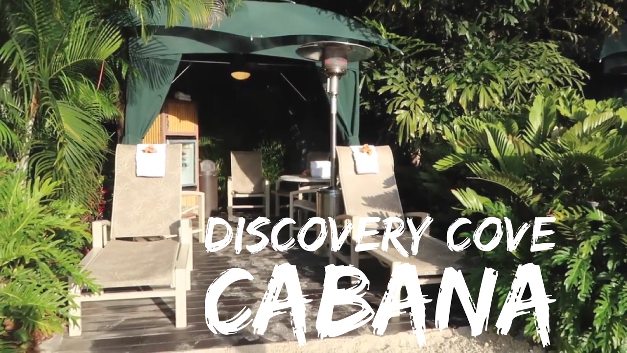 Discovery Cove Cabana - 2016 - HD