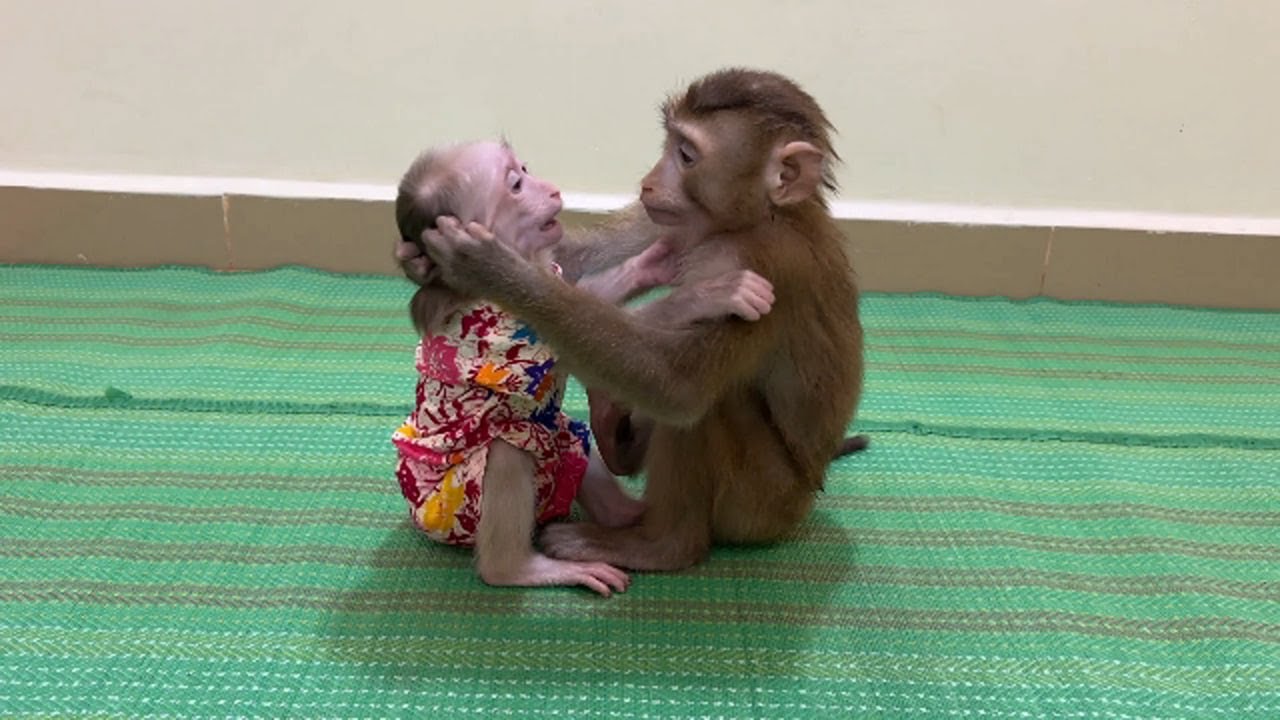 Queen Jenny Full Taking A Good Care For Lil Little Pavpav