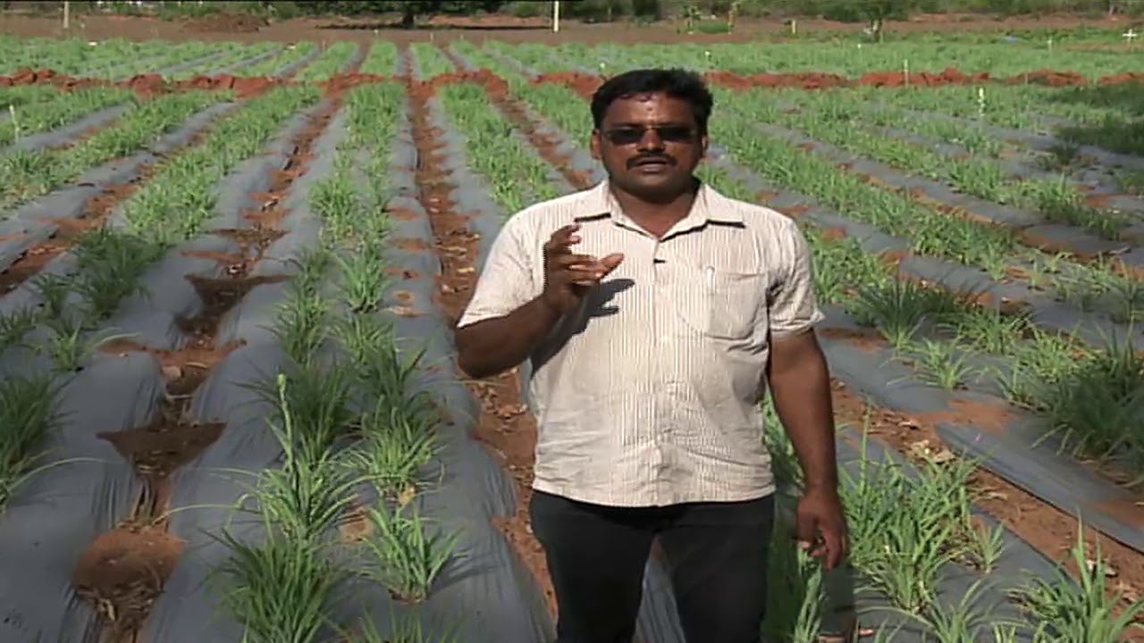 Pon Vilaiyum Bhoomi ( 13/08/2018)வேளாண் தொழில்நுட்பம்  :