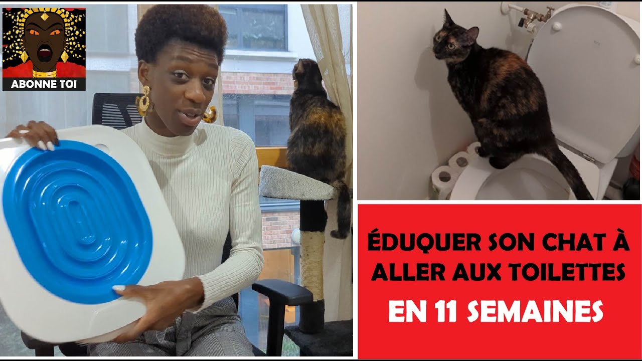 ÉDUQUER SON CHAT À ALLER AUX TOILETTES EN 11 SEMAINES !