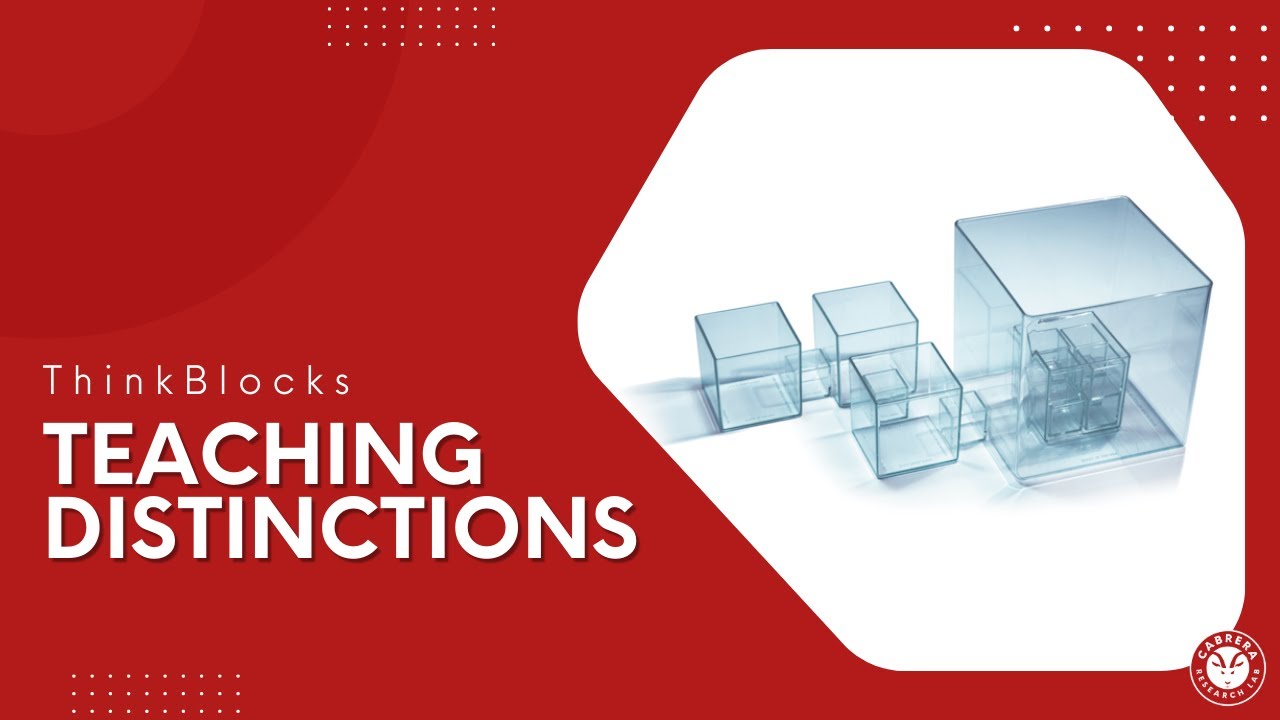 Teaching Distinctions with ThinkBlocks | ThinkBlocks