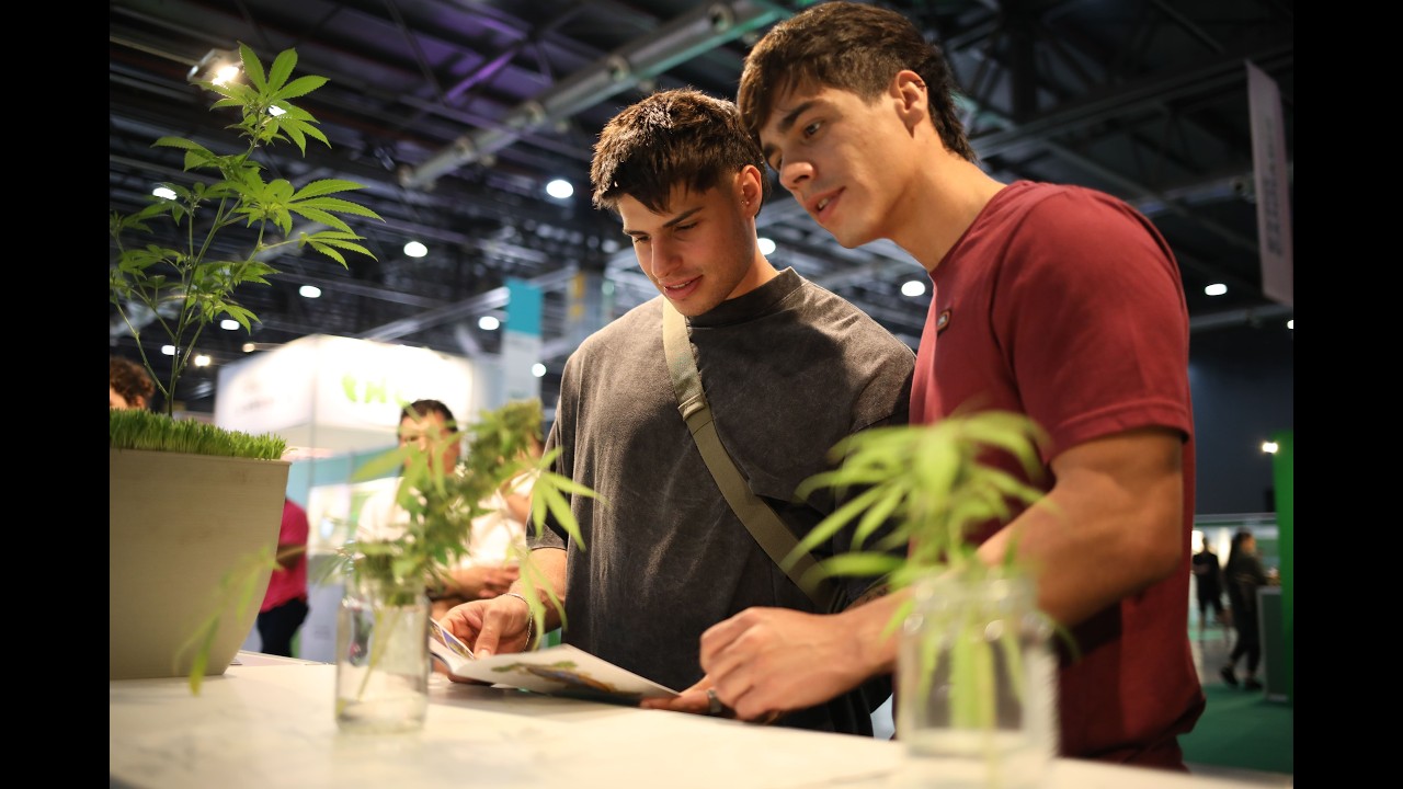 EXPO CANNABIS 2024