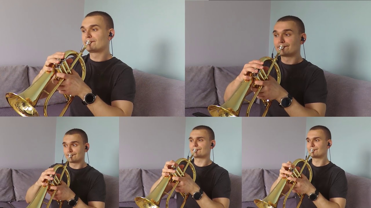 Elvis Presley - Can't Help Falling in Love (Trumpet Quintet)