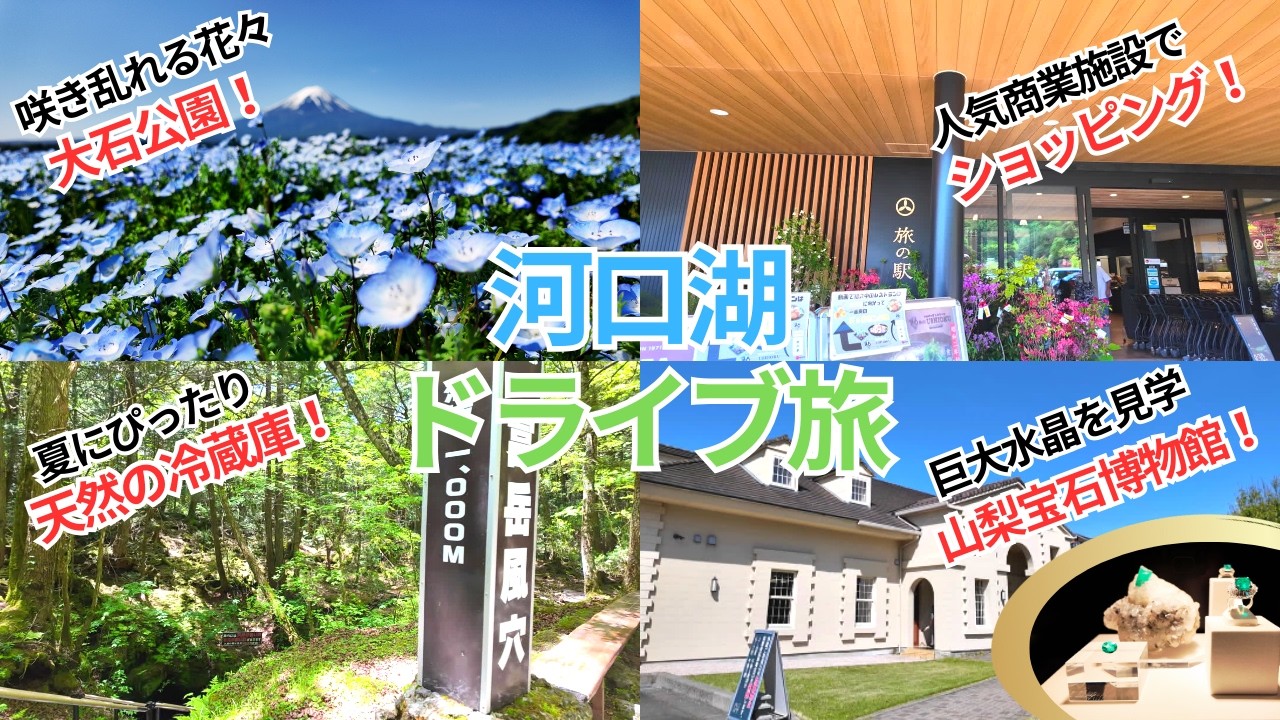 【河口湖 観光】大石公園のネモフィラと富士山に感動‼定番の観光スポットを巡る旅。